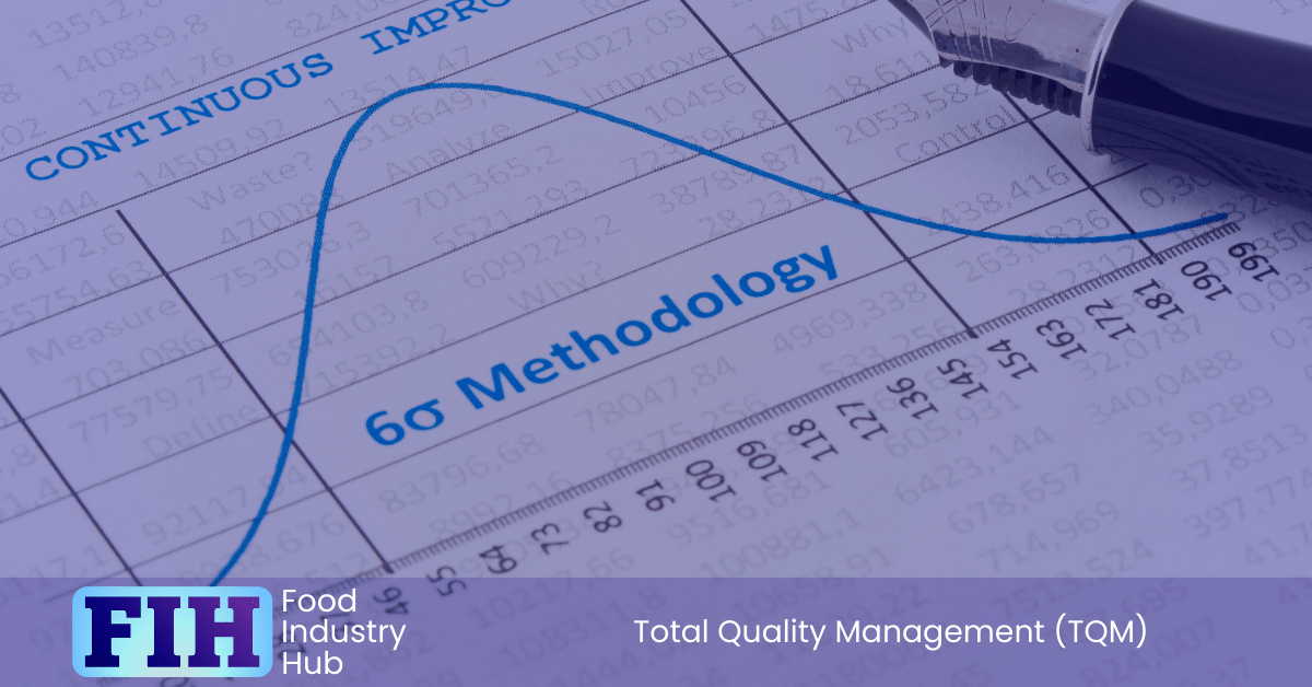 Total Quality Management (TQM) tools and techniques